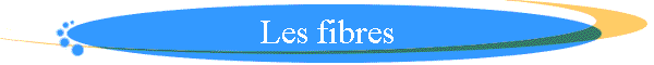 Les fibres